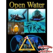 PSAI Openwater
